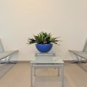 blauwe casacara met hertshoorn hal (1 van 1)
